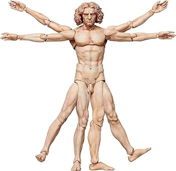 Amazon.co.jp: figma テーブル美術館 ウィトルウィウス的人体図
